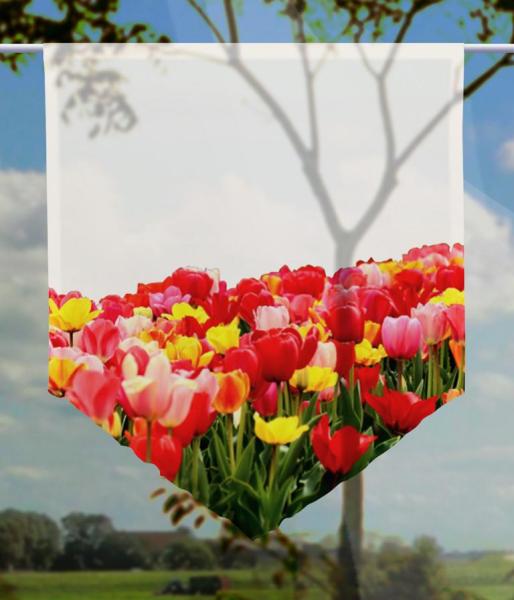 Tulpenfluss blanco, Scheibenhänger spitz